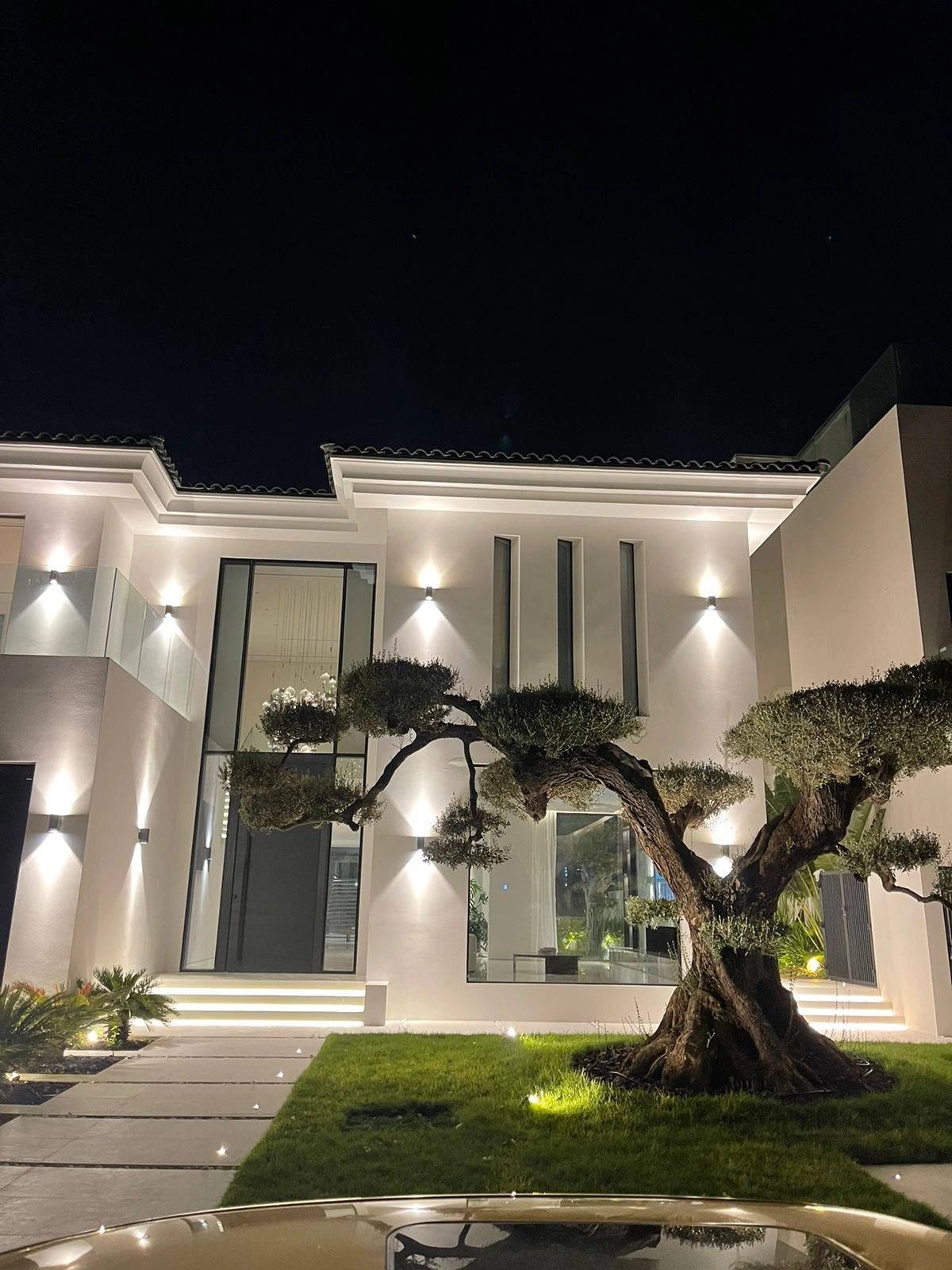 An illuminated villa with a mature tree at night